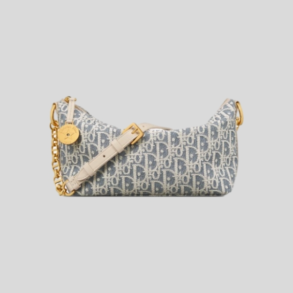 디올 Diorstar 체인 호보백