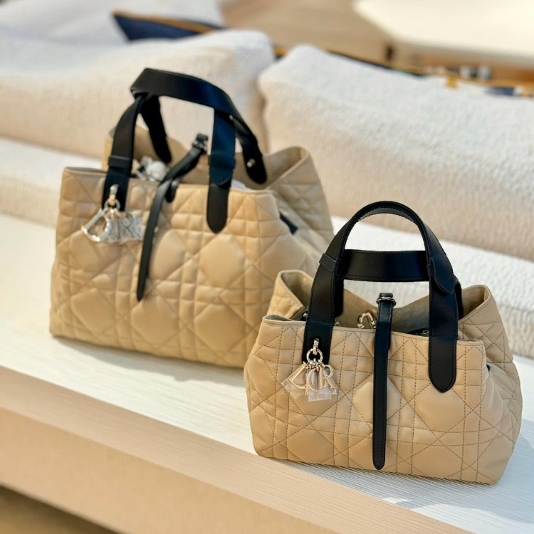 디올 스몰 뚜주흐 백