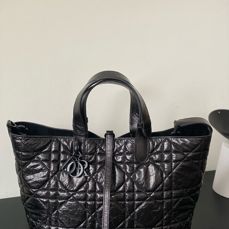 디올 뚜주흐 미디엄 백